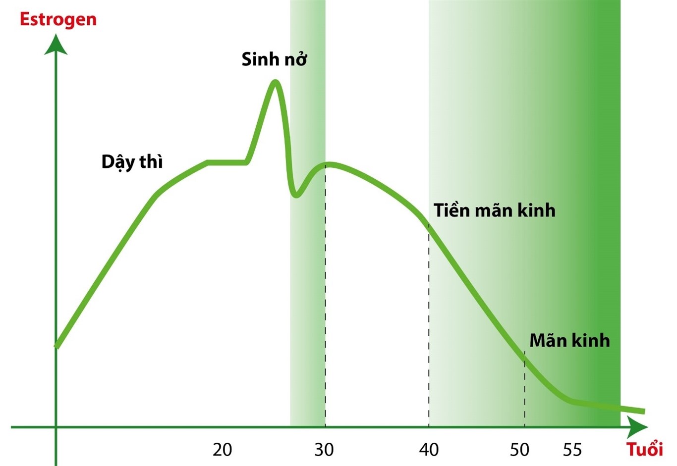 Nồng độ estrogen tăng cao khi mang thai có thể gây ra hiện tượng sổ mũi