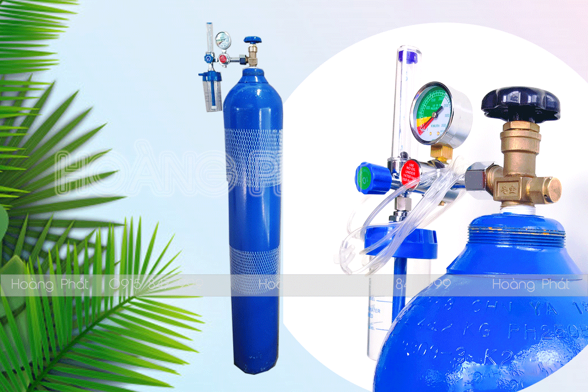 Thuê máy thở tại nhà giá rẻ, chuyên nghiệp và uy tín – Dịch vụ cho thuê máy thở