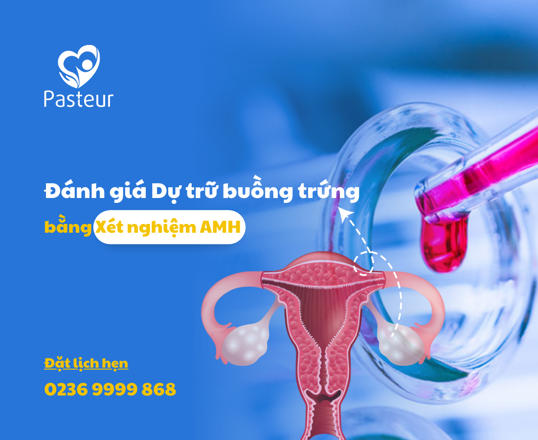 Dự trữ buồng trứng chất lượng, uy tín tại các trung tâm y tế hàng đầu