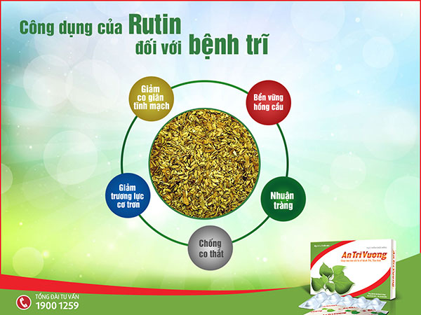 Giải pháp hiệu quả trong điều trị bệnh trĩ – Tìm hiểu ngay tại đây!
