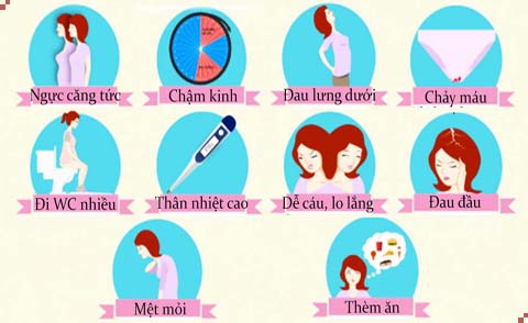 Dấu hiệu mang thai tuần đầu: Những biểu hiện rõ ràng để xác định thai nhi sớm