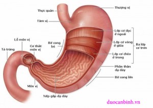 5 thói quen có hại cần loại bỏ ngay để bảo vệ sức khỏe