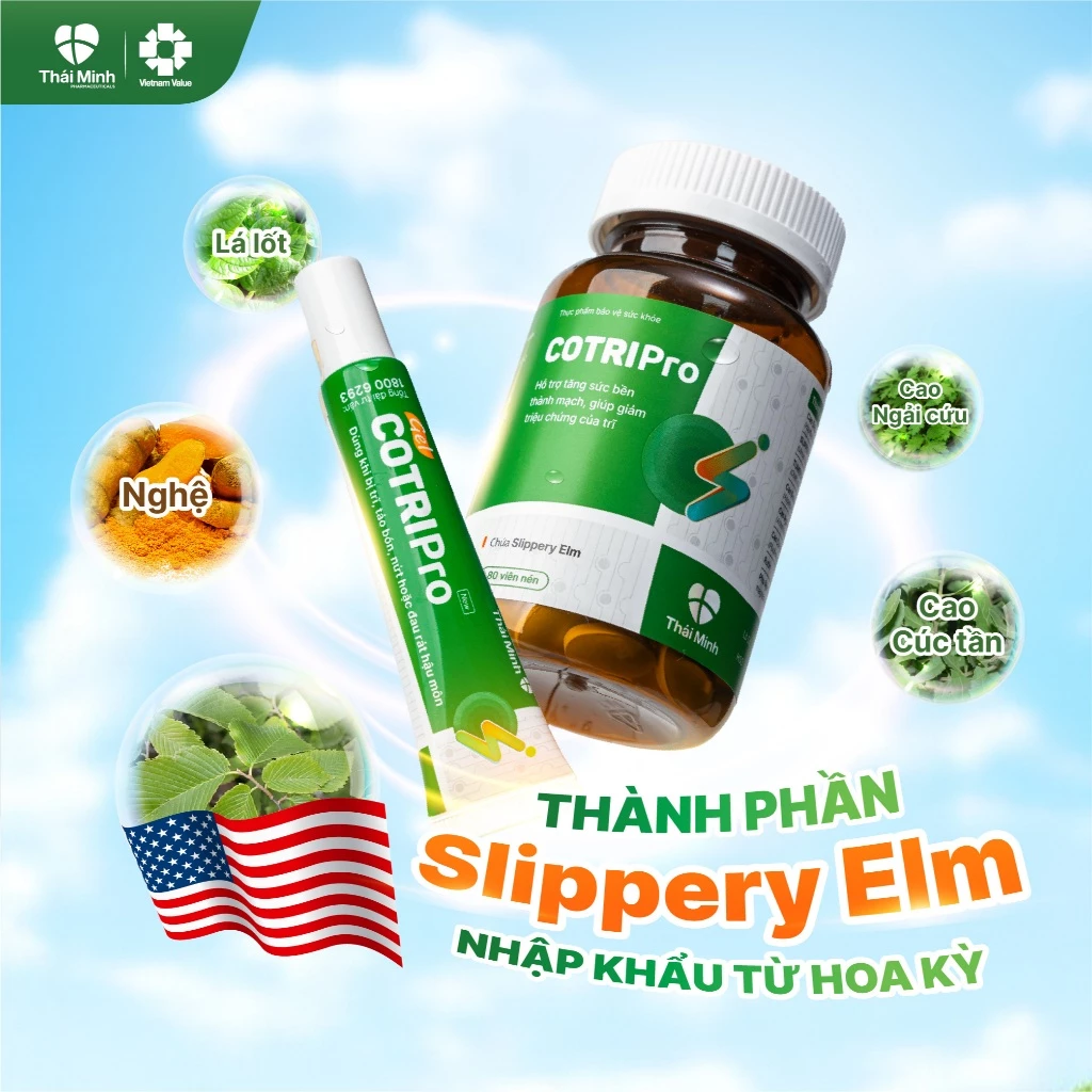 Cotripro Gel Thái Minh – Gel bôi trĩ, dùng khi bị trĩ, táo bón và rát hậu môn, giúp co nhanh búi trĩ