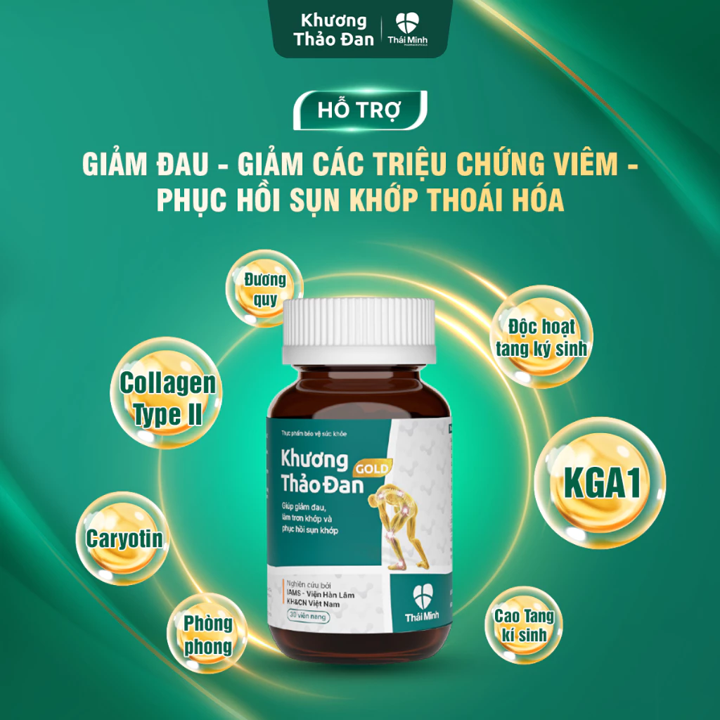 [COMBO 2 LỌ] – Khương Thảo Đan Gold Thái Minh – Viên Uống Hỗ Trợ Giảm Đau Xương Khớp – Tái Tạo Sụn Khớp – Lọ 120 viên