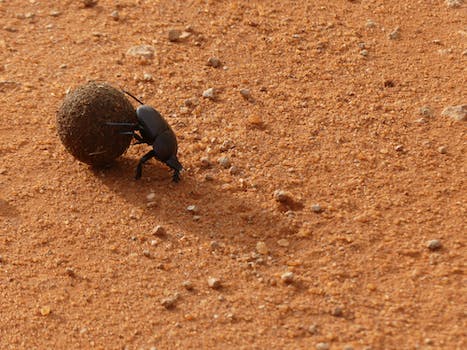 Dung dịch vệ sinh cho nam chất lượng cao – Cách sử dụng hiệu quả