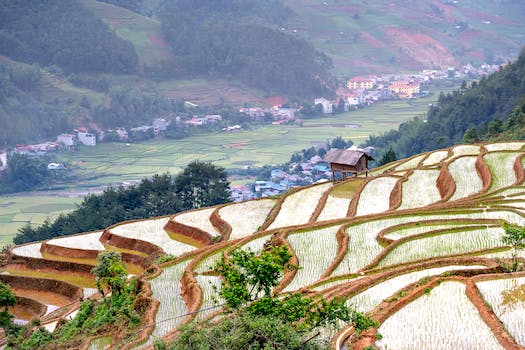 Ngứa vùng kín nam: Nguyên nhân, triệu chứng, và cách điều trị hiệu quả