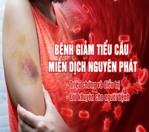 Bệnh giảm tiểu cầu: Nguyên nhân, triệu chứng, chẩn đoán và điều trị hiệu quả