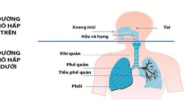 nhiễm trùng đường hô hấp