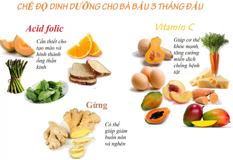 Top 10 thực phẩm dinh dưỡng giúp phát triển trí não trong 3 tháng đầu của thai kỳ