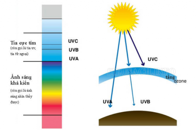 Tác hại của tia UV: Bảo vệ làn da và sức khỏe của bạn