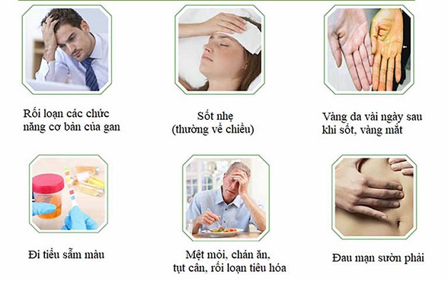 Triệu chứng xơ gan: Tìm hiểu nguyên nhân, triệu chứng và cách điều trị hiệu quả