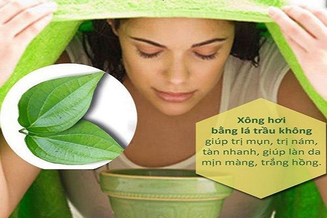 Tác dụng của la trầu không trong việc hỗ trợ điều trị bệnh phụ khoa