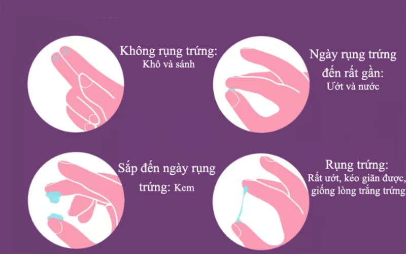 Thông tin về âm đạo và tiết dịch trắng: Tìm hiểu về nguyên nhân, tình trạng và cách điều trị