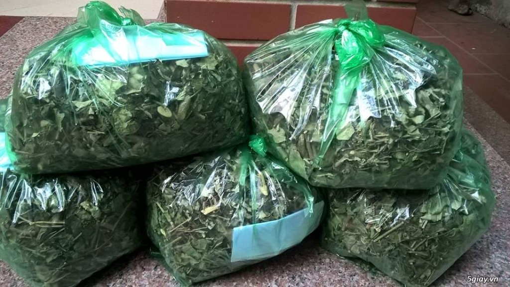 Bí quyết điều trị bị thủy đậu tắm lá gì hiệu quả | Cách chữa bệnh thủy đậu bằng lá vô cùng đơn giản