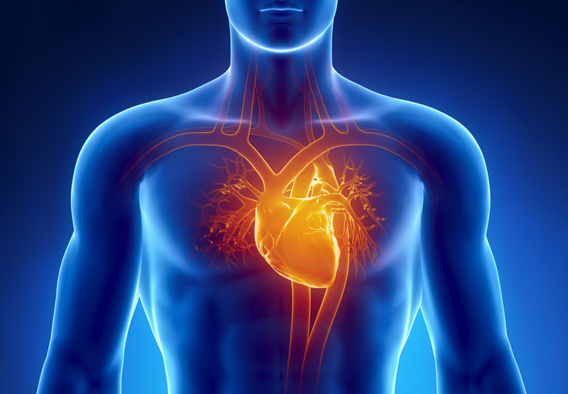 Giải pháp sơ cứu nhồi máu cơ tim hiệu quả và nhanh chóng - Tư vấn chuyên nghiệp từ các chuyên gia y tế