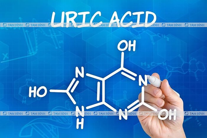 Chỉ số axit uric - Tìm hiểu về nguyên nhân, triệu chứng và cách điều trị