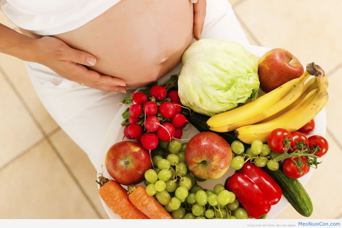 Chế độ dinh dưỡng cho bà bầu theo từng tháng: Cẩm nang giúp sức khoẻ cho mẹ và thai nhi
