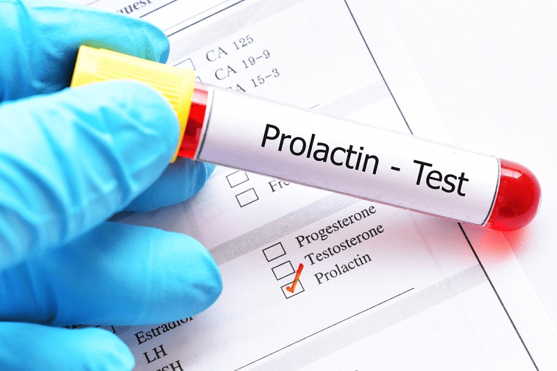 Prolactin – Định nghĩa, chức năng và tác động của hormone Prolactin trên cơ thể