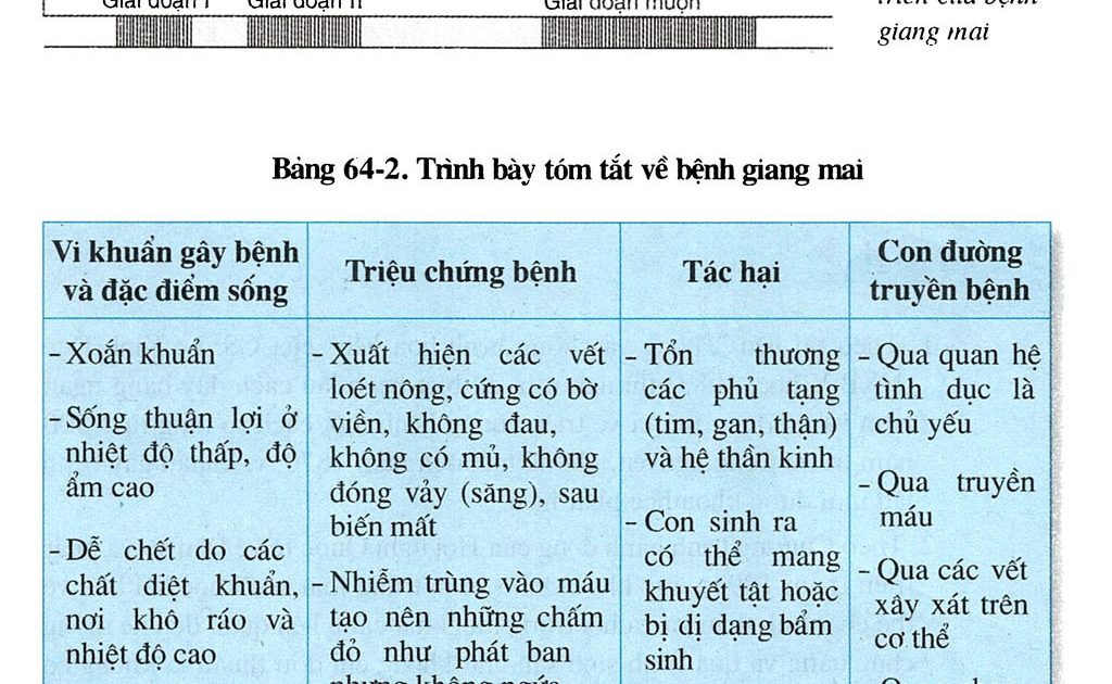 Các triệu chứng và biện pháp phòng ngừa nhiễm khuẩn đường sinh sản 2
