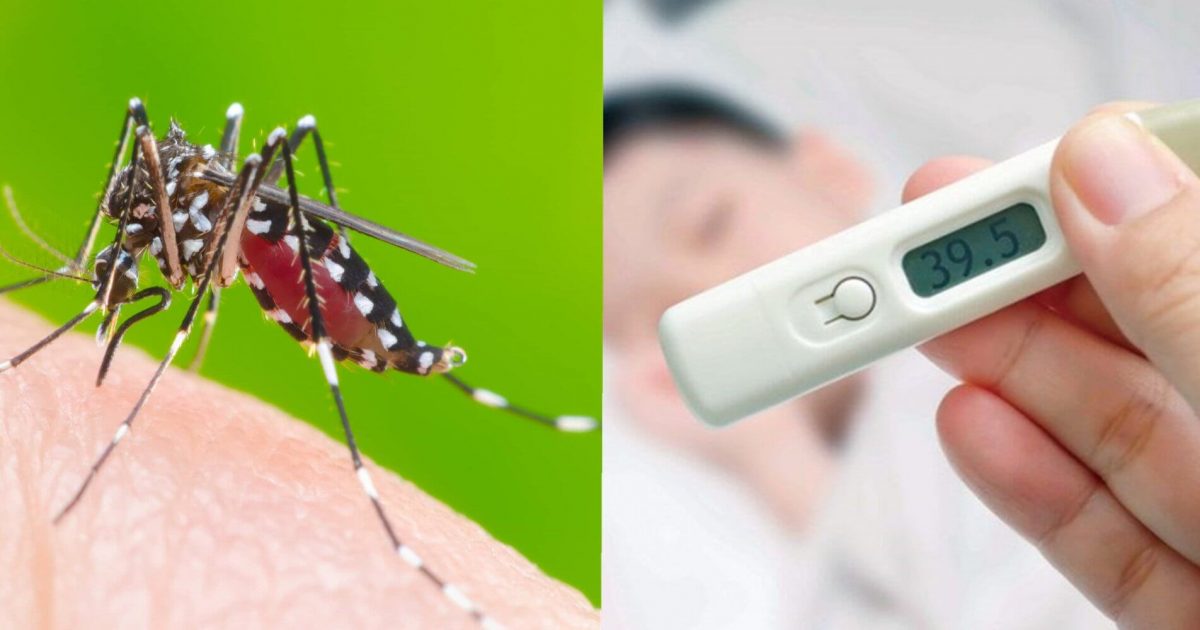 Sốt xuất huyết: Thời gian hồi phục và cách chăm sóc 2